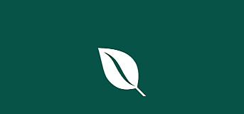 leaf icon Life Coaching